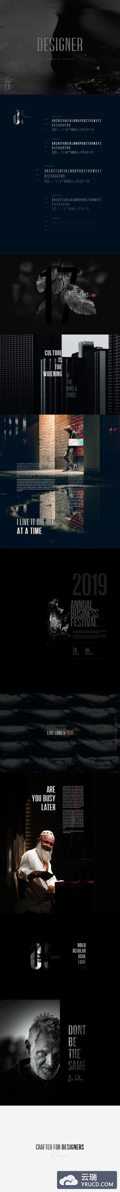 时尚高端简约严谨的高品质设计字体designer-font-family