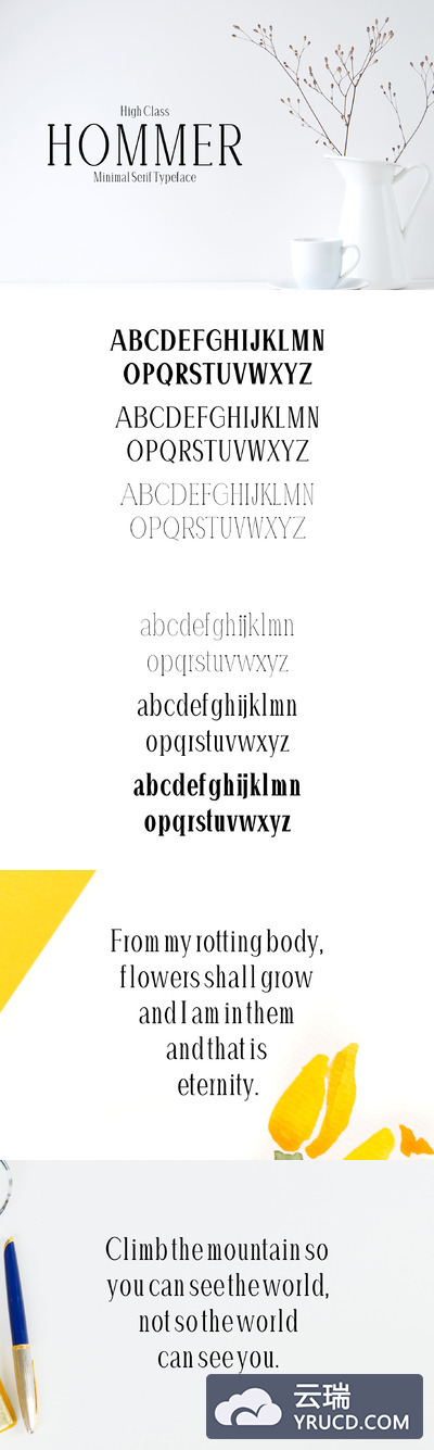 极简主义衬线字体 Hommer Minimal Serif 6 Font Family