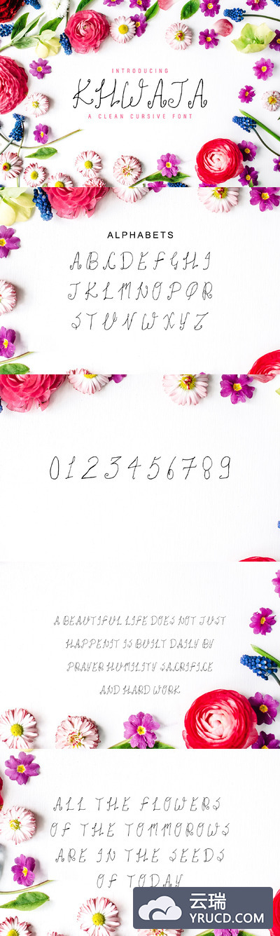 干净优雅的脚本字体 Khwaja Script 2 Font Family Pack