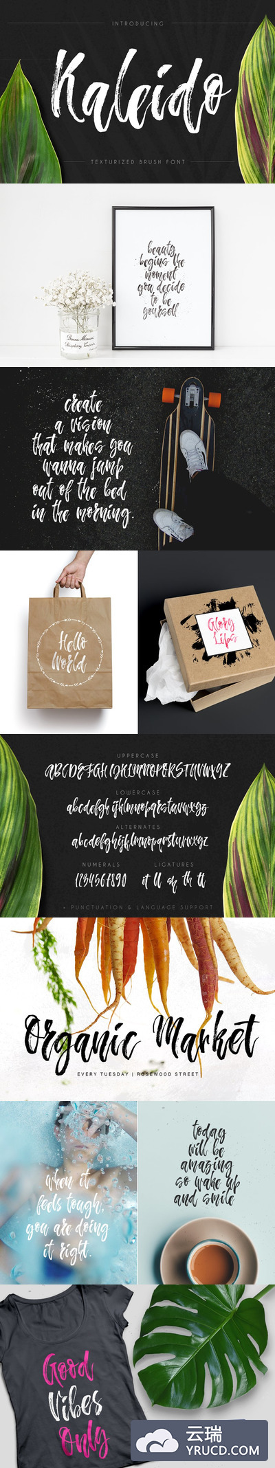 脚本笔刷字体 Kaleido - script brush font