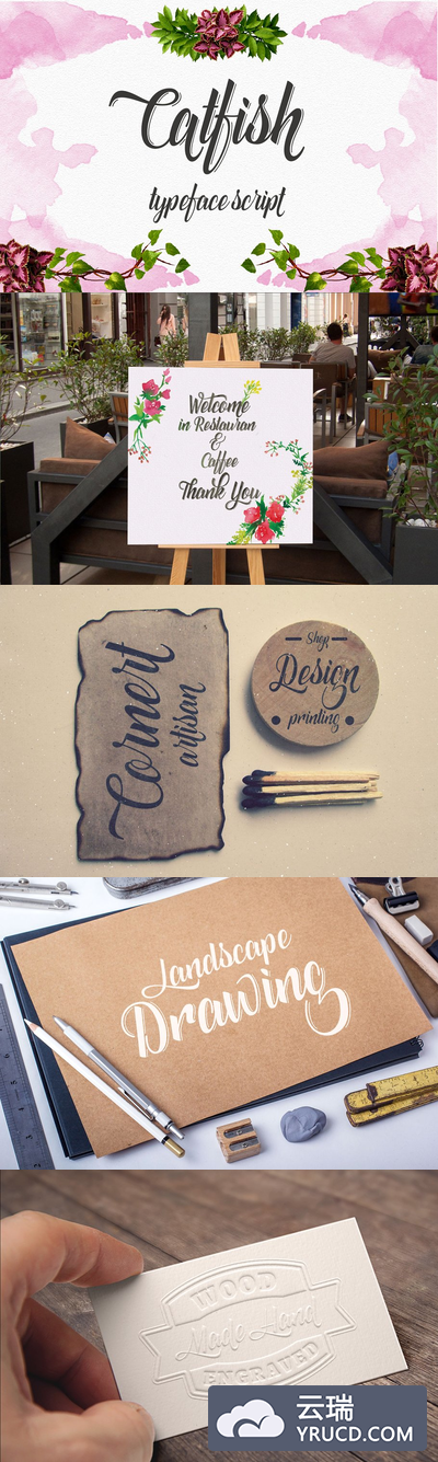 独特的脚本字体 Catfish script