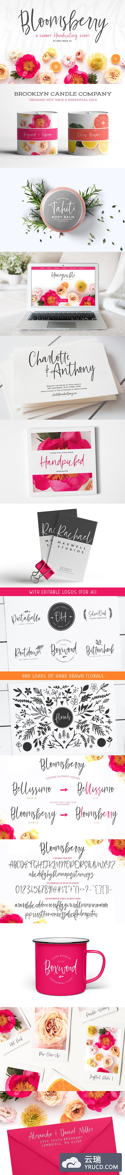 时髦的手写字体 Bloomsberry Type & Graphics