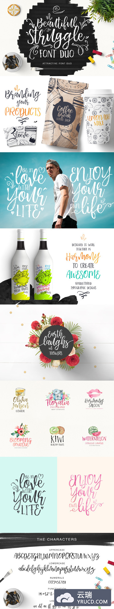 好看有个性的笔刷字体 Beautiful Struggle