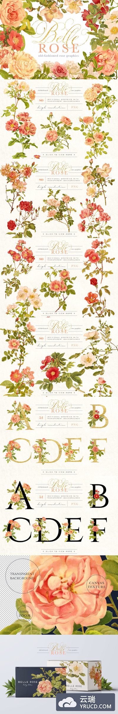 经典的玫瑰图形包 Belle Rose Antique Graphics Bundle