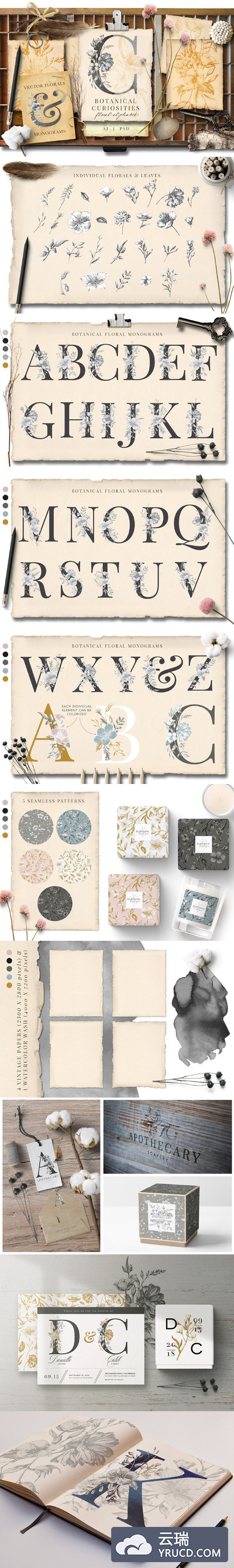 植物字母组合图案 Botanical Curiosities Monograms