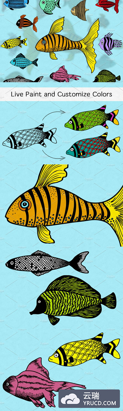 鱼类插图矢量包1 Illustrated Fish Vector Pack 1