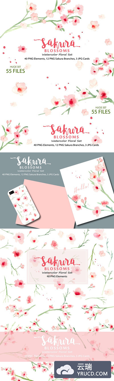 樱花水彩剪贴画 Sakura Blossoms - Watercolor Clipart