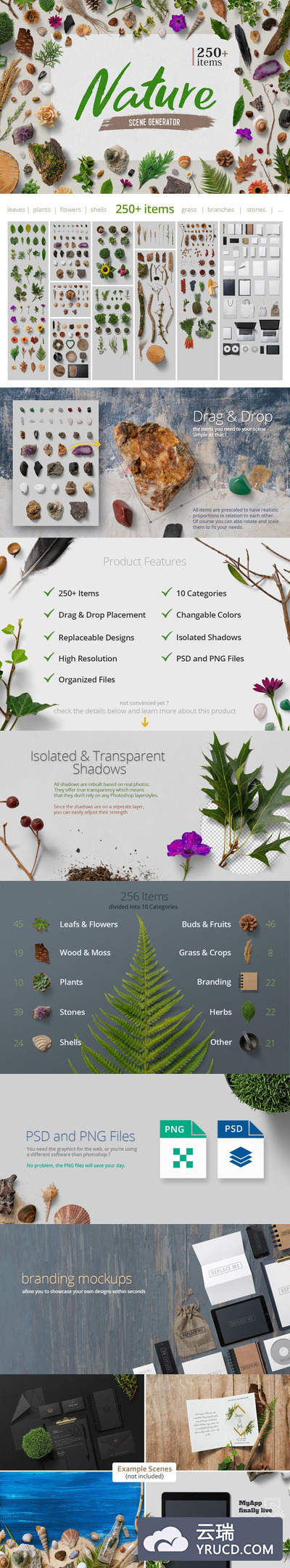 250+高品质的高清高端大自然森林树叶花朵植物石头贝壳元素VI样机展示模型mockups