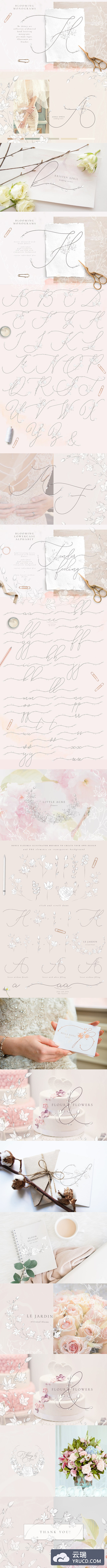 logo | 精美美丽温柔优雅品味感觉的手绘花卉字母标志设计