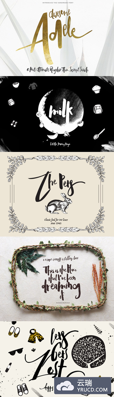 字体 | 阿黛尔线条艺术无衬线英文手写文字