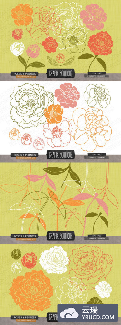 玫瑰牡丹芥末背景 Roses peonies mustard background