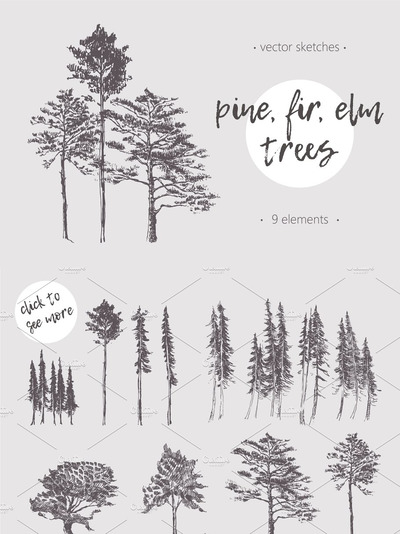 手绘树插图 Set of trees illustrations