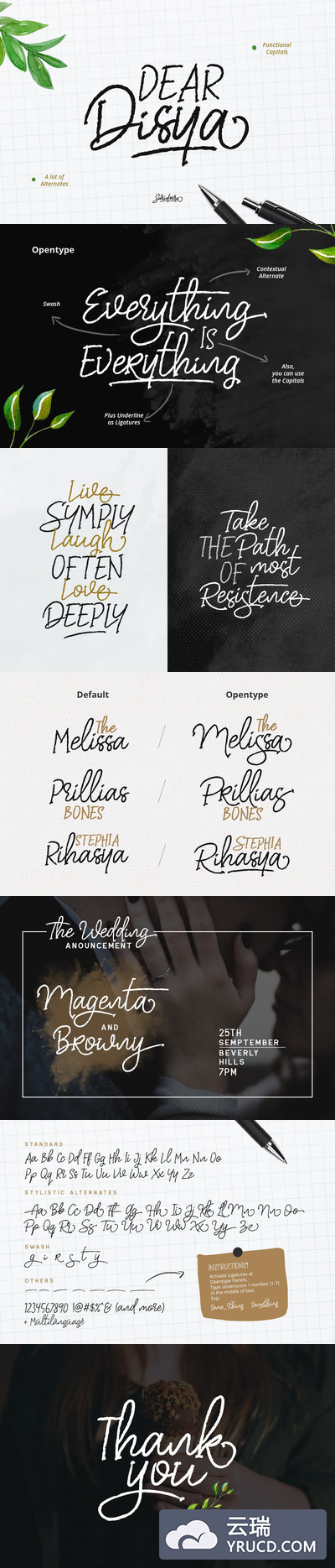 字体 | 无衬线手写连字英文文字设计