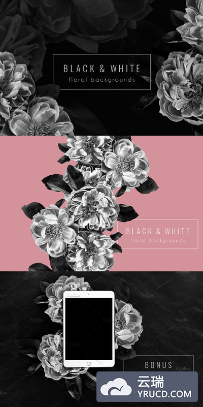 花卉背景PNG库存照片 Floral Background PNG Stock Photos