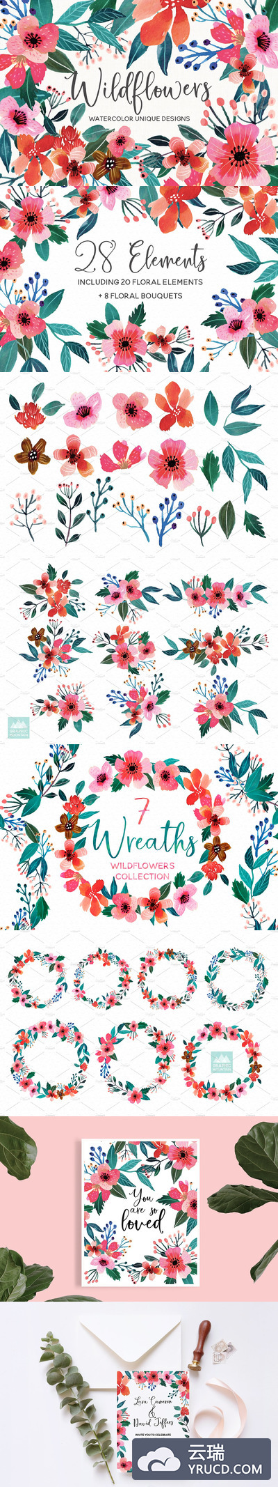 野花水彩插画集 Wildflowers Watercolor Collection