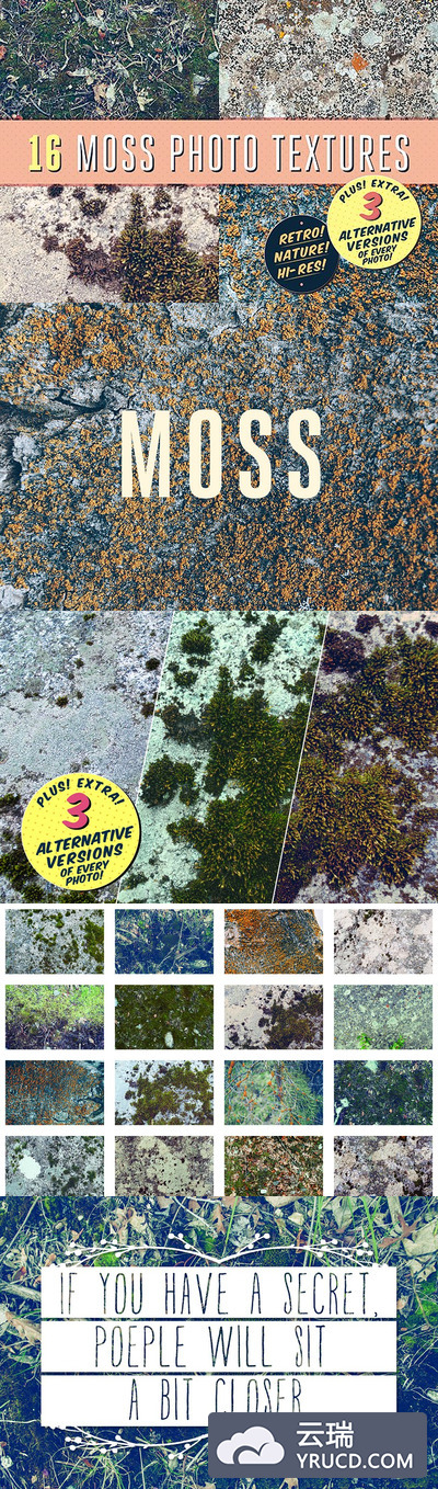 16款苔藓照片纹理 16 Moss Photo Textures