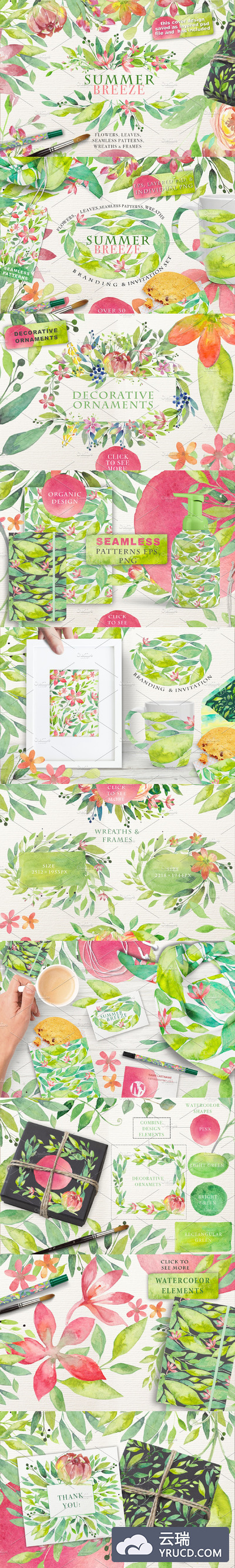 夏日主题水彩绿叶花卉素材合集 SUMMER BREEZE. vol.2