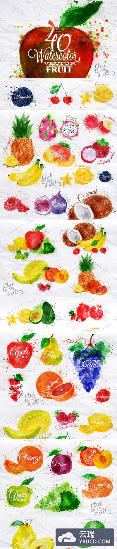 各种水彩水果剪贴画 Fruit Watercolor