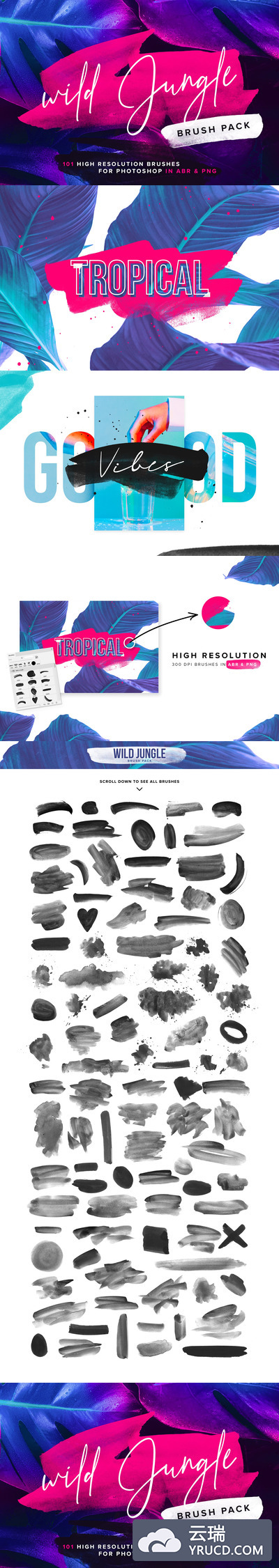 高分辨率画笔PS笔刷 Wild Jungle - Brush Collection