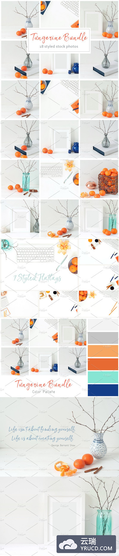 温暖冬季样机模板包 Tangerine Winter Bundle