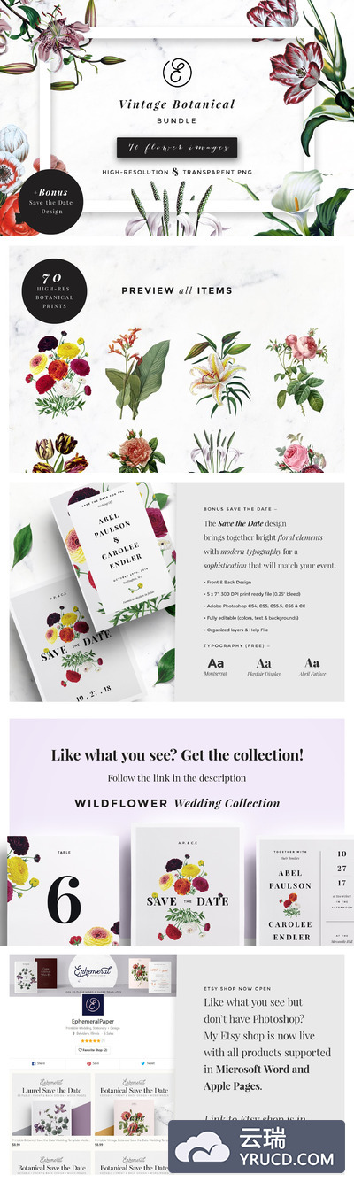 复古植物花卉剪贴画合集 Vintage Botanical Flower Bundle