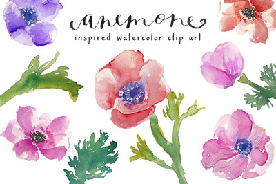 水彩海葵剪贴画 Watercolor Anemones Clip Art