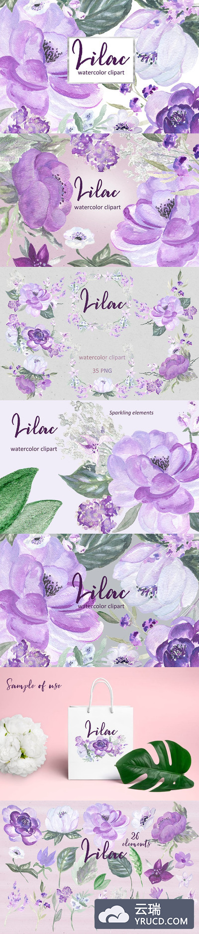 淡紫色水彩剪贴画 Lilac Soft purple watercolor clipart