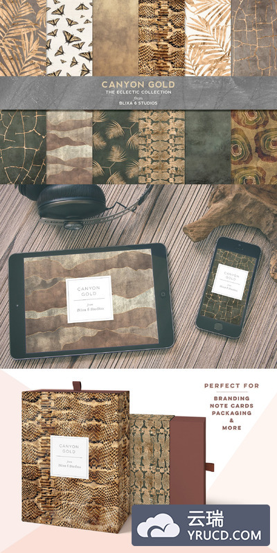 烫金背景纹理 Canyon Gold Palm & Snake Graphics