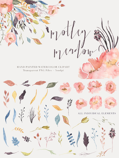 水彩花卉剪贴画 Watercolor Floral Clipart - Motley