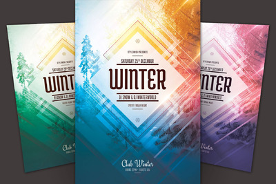 夏季海报模板 Winter Flyer Template
