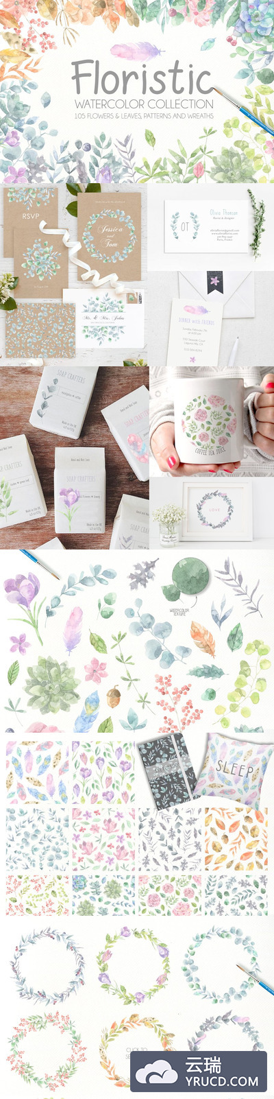 植物水彩集 Floristic Watercolor Collection Pro