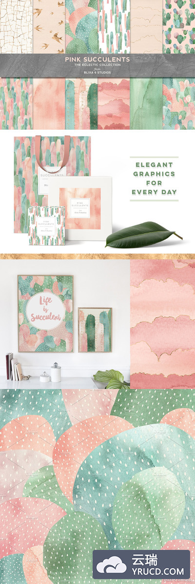 烫金粉红多肉水彩背景纹理 Pink Succulents in Watercolor & Gold