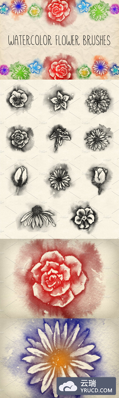 水彩花卉笔刷包 Watercolor Flowers Brush Pack 1