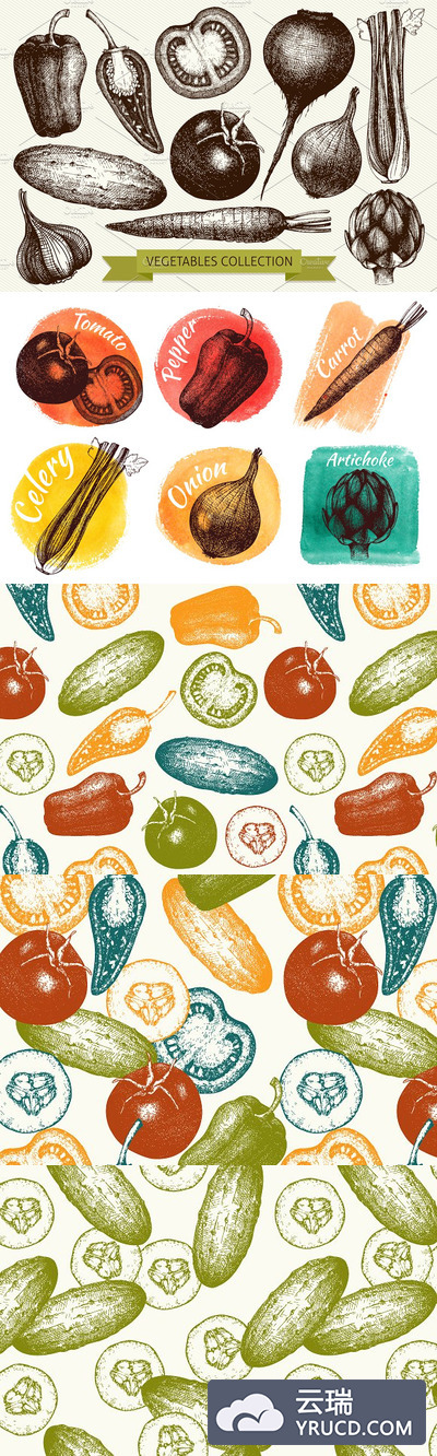 复古蔬菜素描素材插画集 Vintage Vegetables Collection