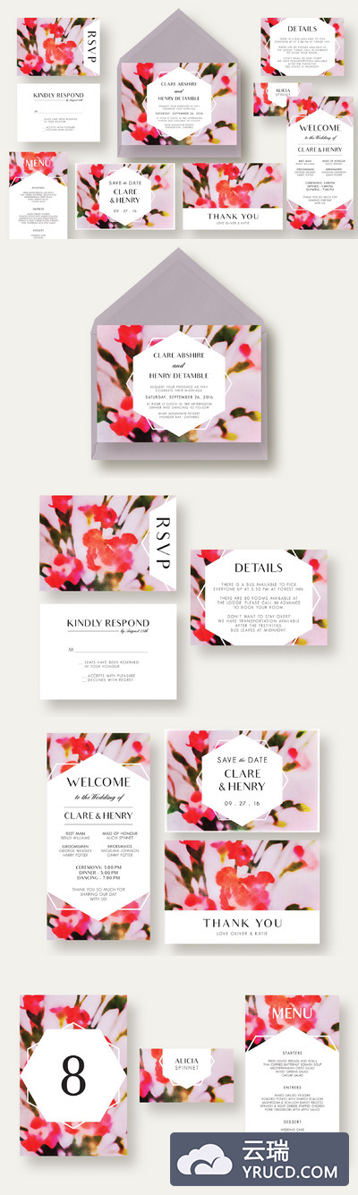 康乃馨花卉婚礼邀请函 Carnation Flower Wedding Suite