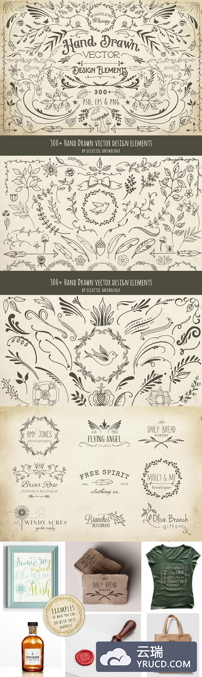 手绘植物设计元素插画 Hand Drawn Vector Design Elements