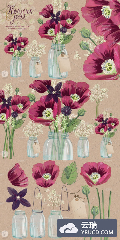 水彩罂粟花元素插画素材 Watercolor burgundy poppies in a jar