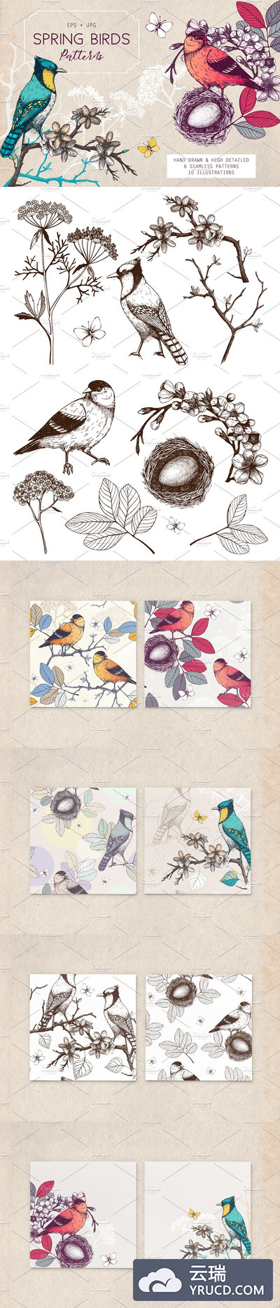 手工绘制的春季鸟类图案纹理 Hand Drawn Spring Birds Patterns