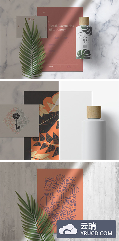 样机 | 植物蕨文具素材场景阴影