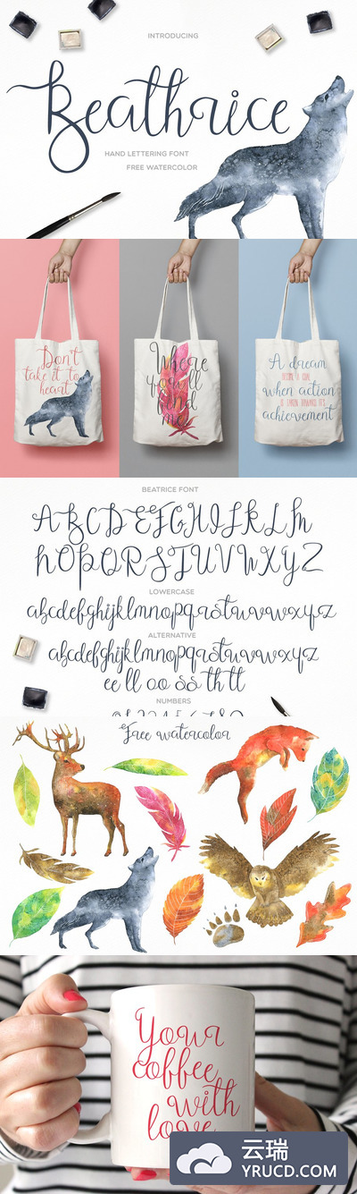 手写脚本字体 Beathrice Script Font