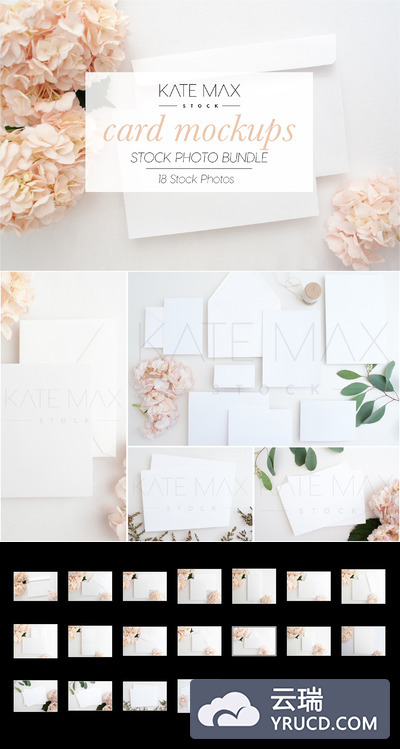 卡片样机模板包 Blush Card Mockups Bundle