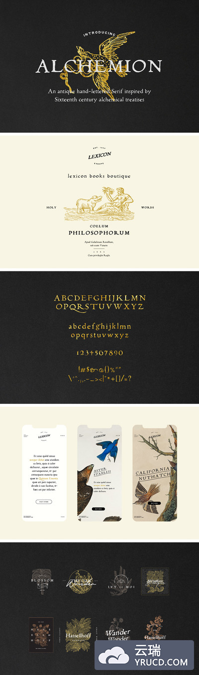 字体 | 16世纪炼金实验室宝藏无衬线古老书籍文字神秘感元素