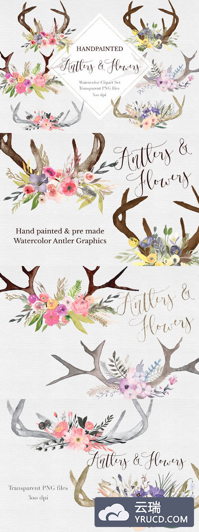 手绘鹿角剪贴画集 Hand painted Antler Clipart Set