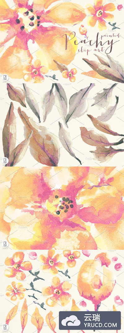 水彩桃花剪贴画 Aquarelle peach flowers clip art