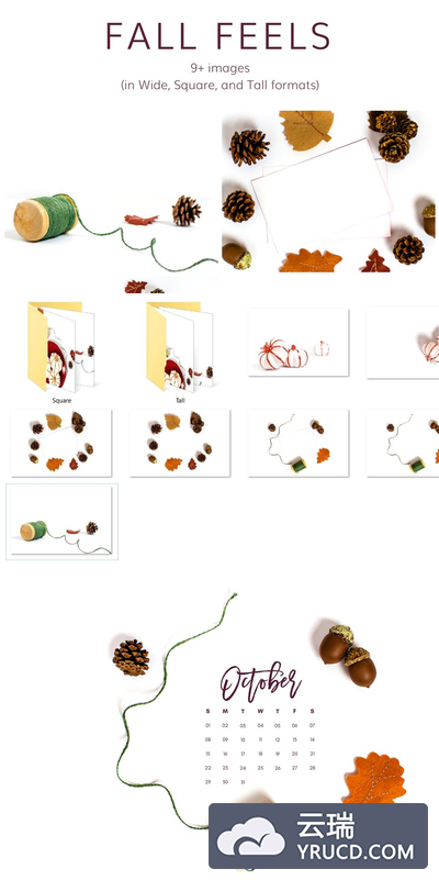 秋天样机模板 Fall Feels (9+ Images)