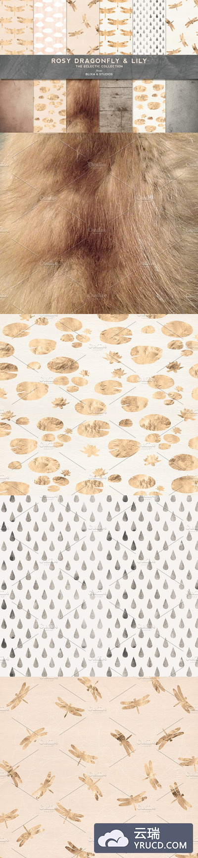 金色蜻蜓图案纹理 Golden Dragonfly Patterns & Textures