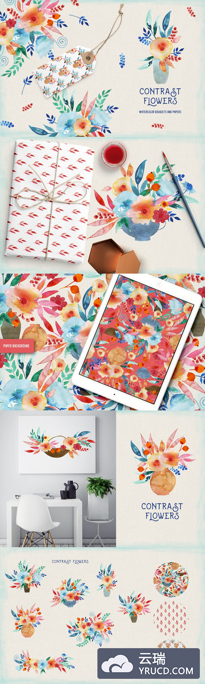 花卉图形插画 Contrast Flowers