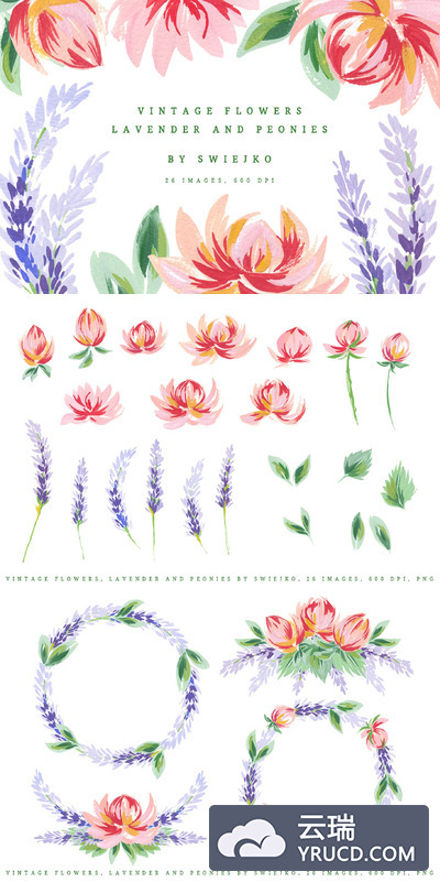 经典花卉插画 Lavender & Peonies, vintage flowers