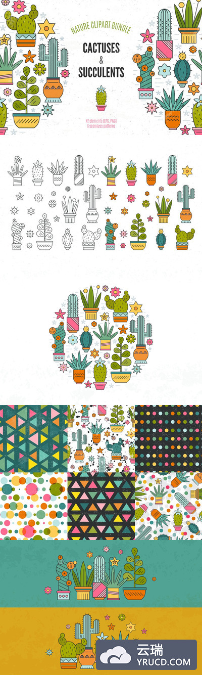 仙人掌图案插画 Succulent Clipart & Patterns Bundle