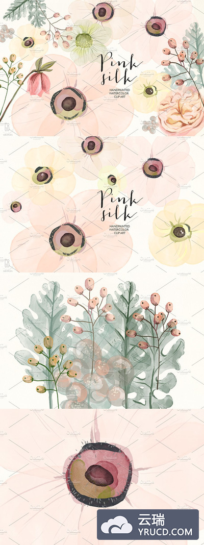 水彩蚕丝插画 Watercolor pink silk flowers